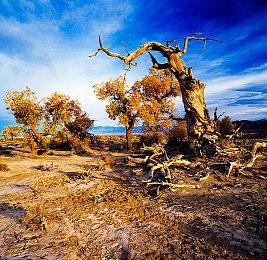 《最终幻想7：重制版》PC版首个补丁发布 改善稳定性