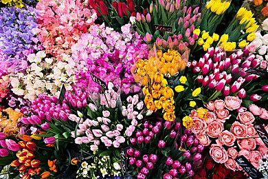 网易又在海外成立了一个工作室Bad Brain Games 育碧老兵领导